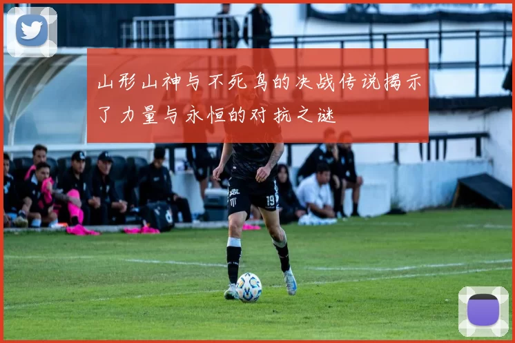 山形山神与不死鸟的决战传说揭示了力量与永恒的对抗之谜