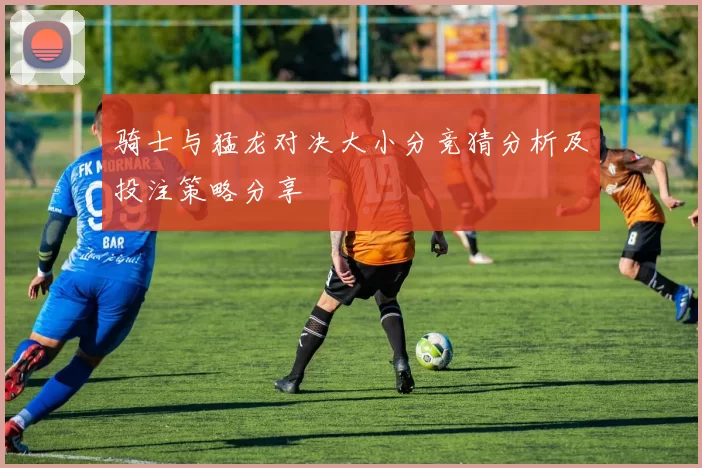 骑士与猛龙对决大小分竞猜分析及投注策略分享