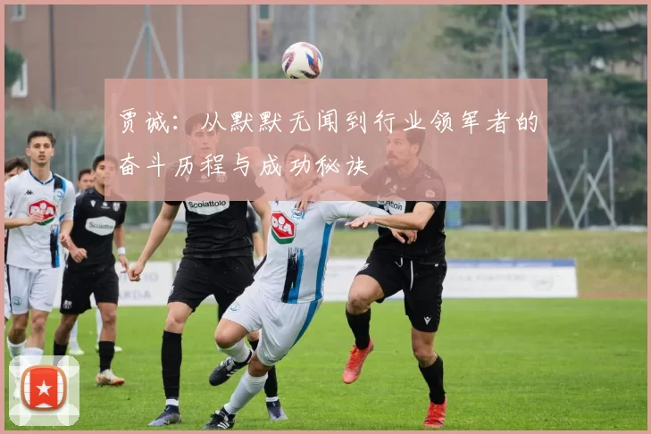 贾诚：从默默无闻到行业领军者的奋斗历程与成功秘诀