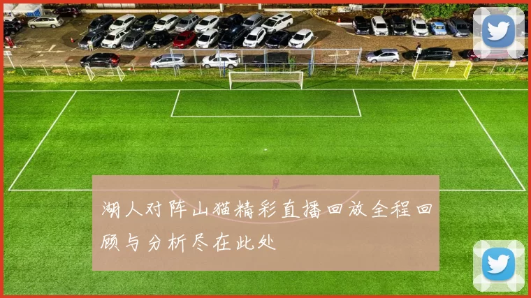 湖人对阵山猫精彩直播回放全程回顾与分析尽在此处