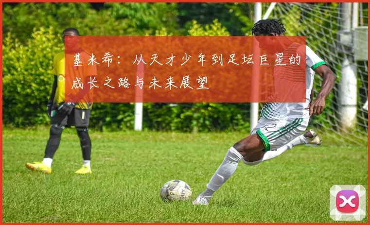 基米希：从天才少年到足坛巨星的成长之路与未来展望