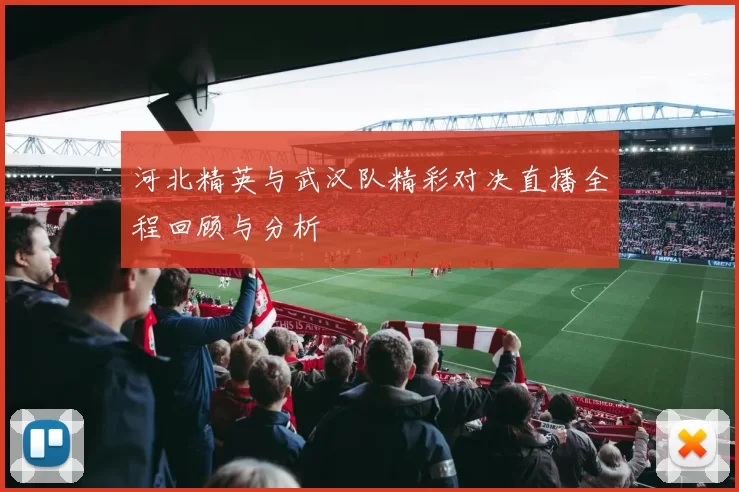 河北精英与武汉队精彩对决直播全程回顾与分析